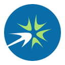 Logo LAPD